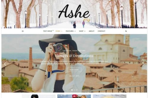 A picture of a wordpress theme called Ashe