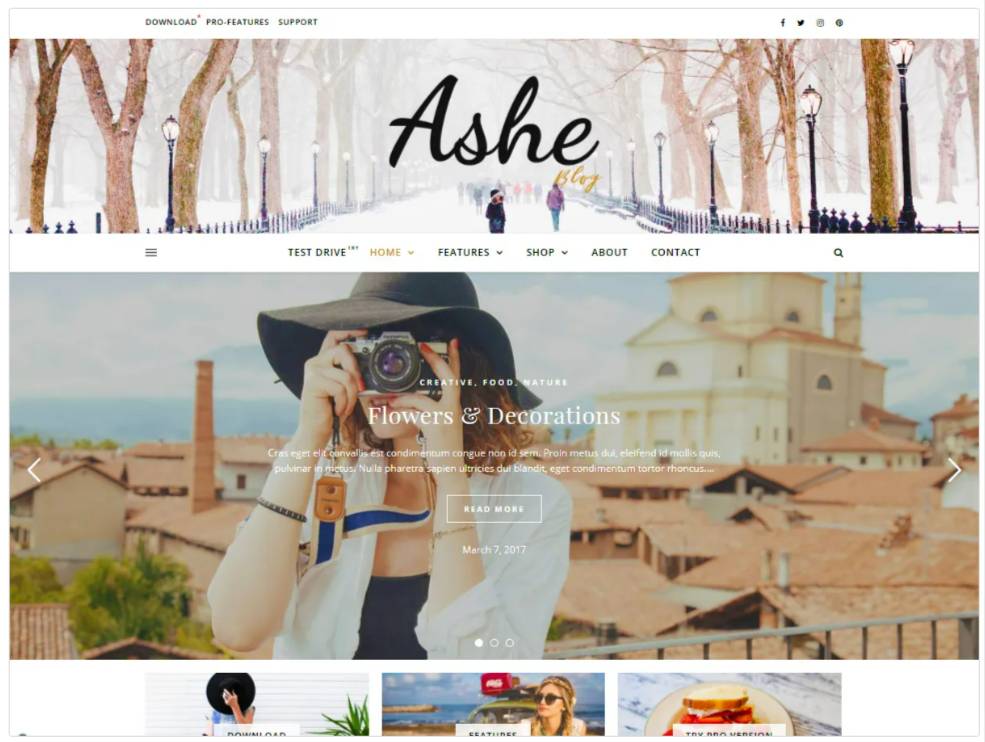 A picture of a wordpress theme called Ashe